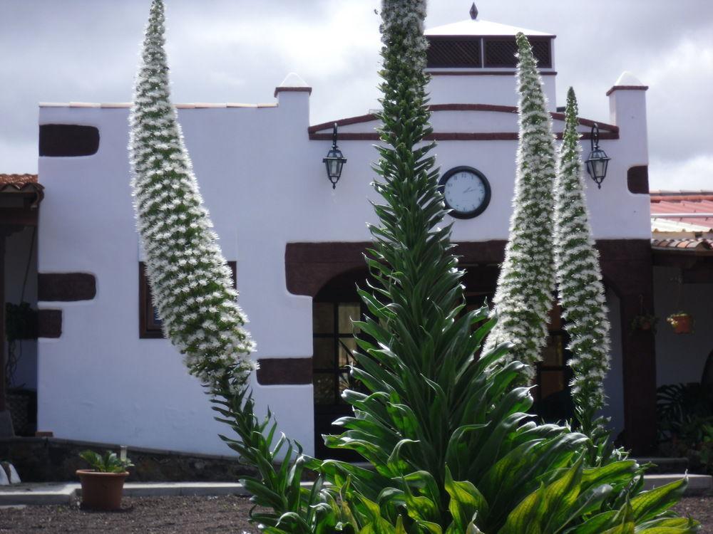 Finca El Picacho Hotel Valle de Guerra ภายนอก รูปภาพ